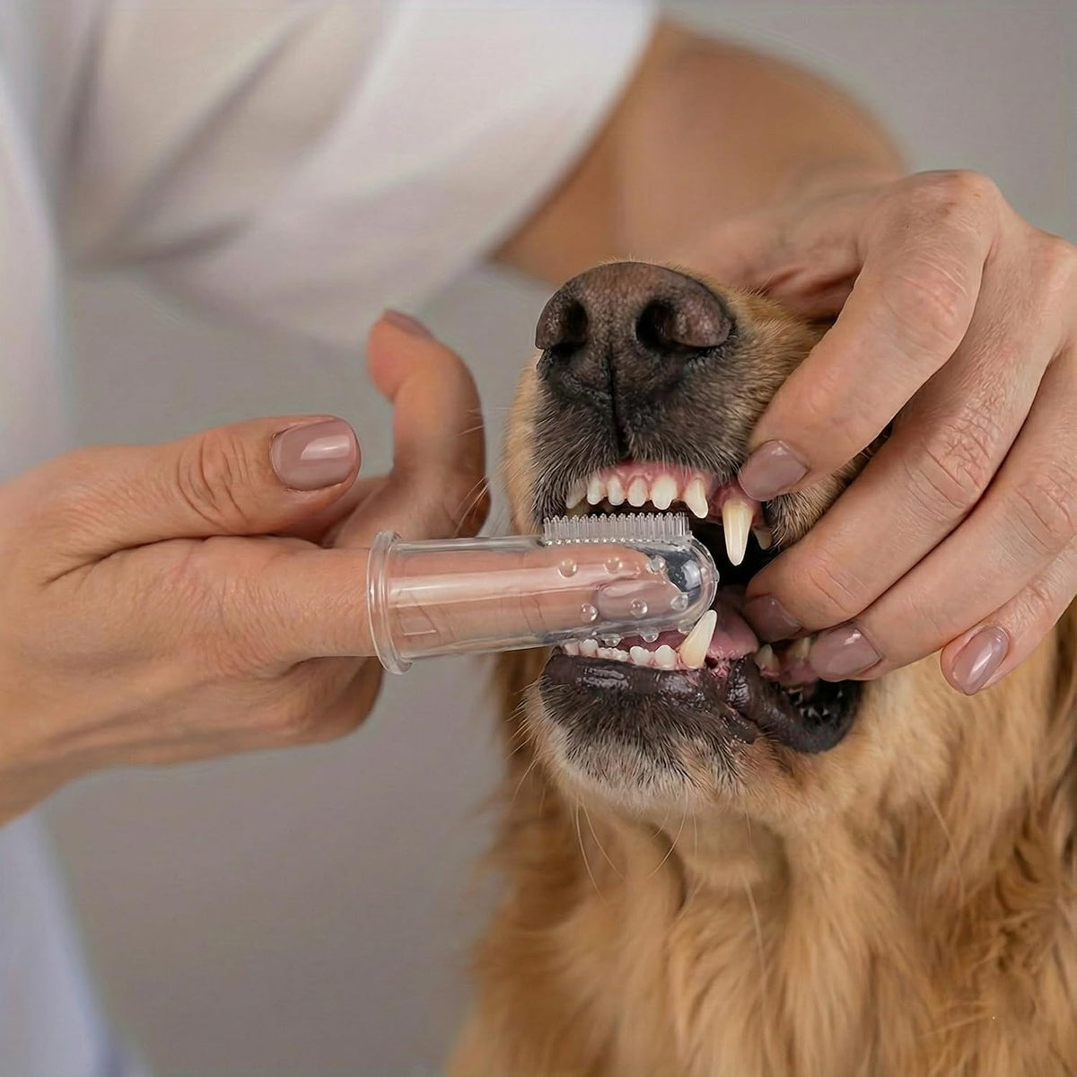 Haminway Kit de aseo para perros de 8 piezas \u2013 Rosa | Juego de...