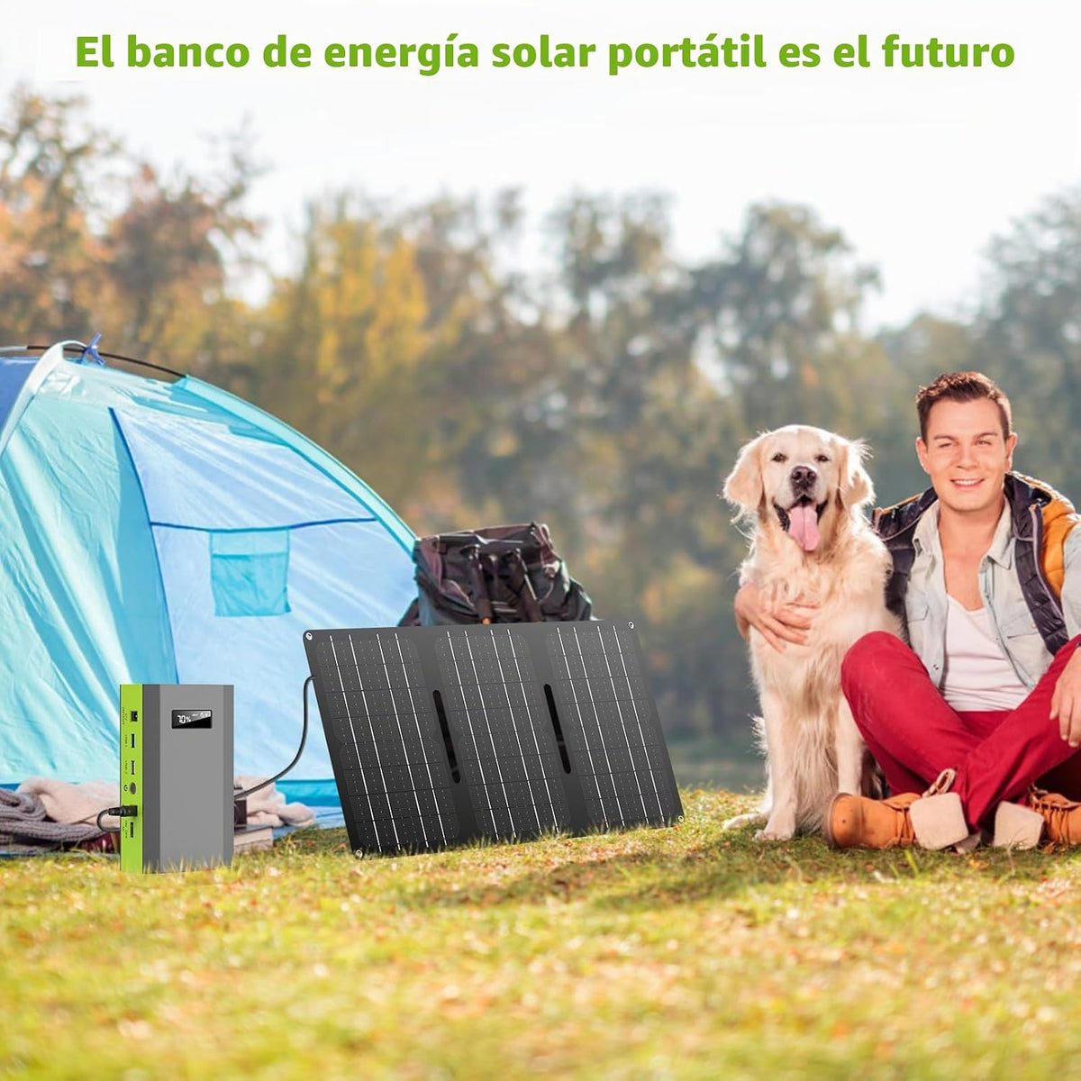 Generador de banco de energía solar de 300 W con panel de 60 W, est...