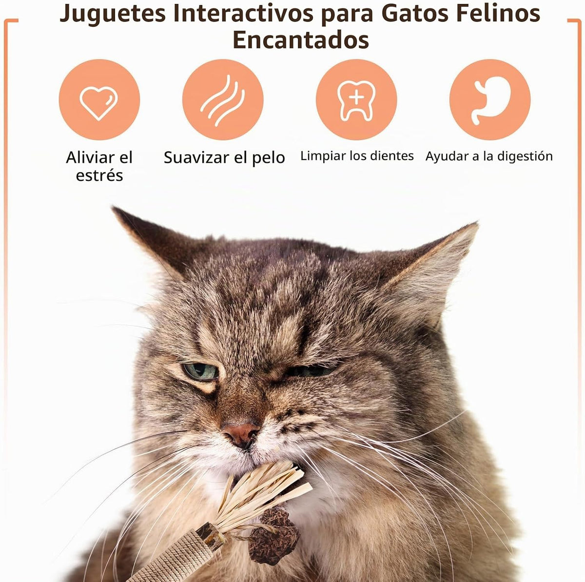 YWAOOH Juguetes para gatos | 6 palitos masticables de matatabi y 1...