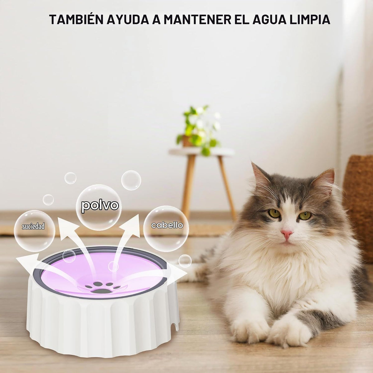 FORWH Cuenco de agua para perros pequeños sin derrames, dispensador...