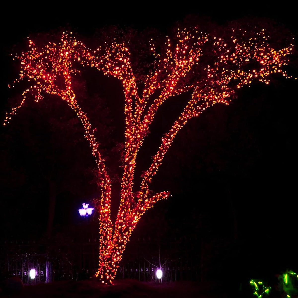 Dazzle Bright - Guirnalda de luces para Halloween, 300 LED, 100 pie...