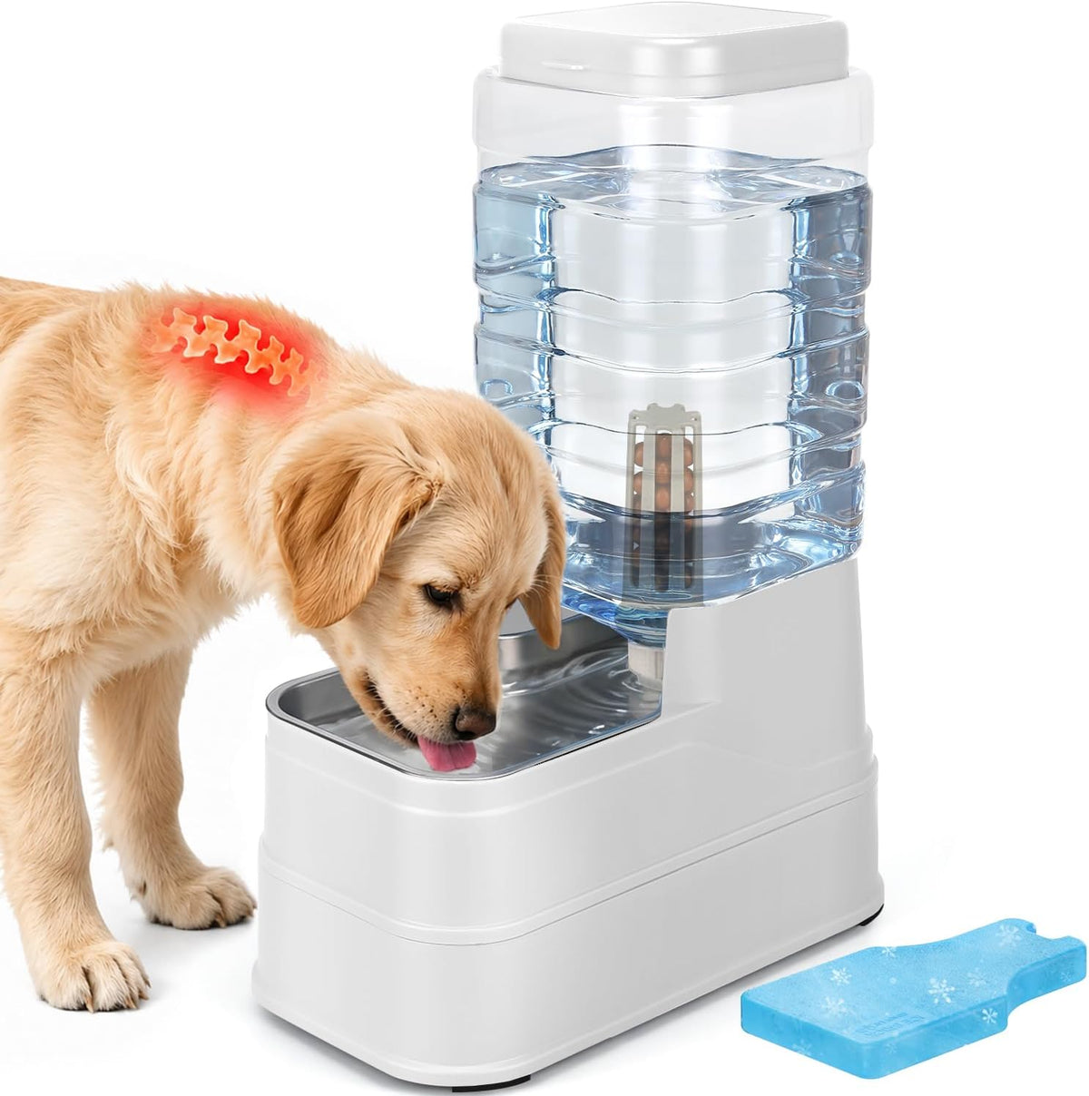 Dispensador de agua automático para mascotas de 2.2 galones para pe...