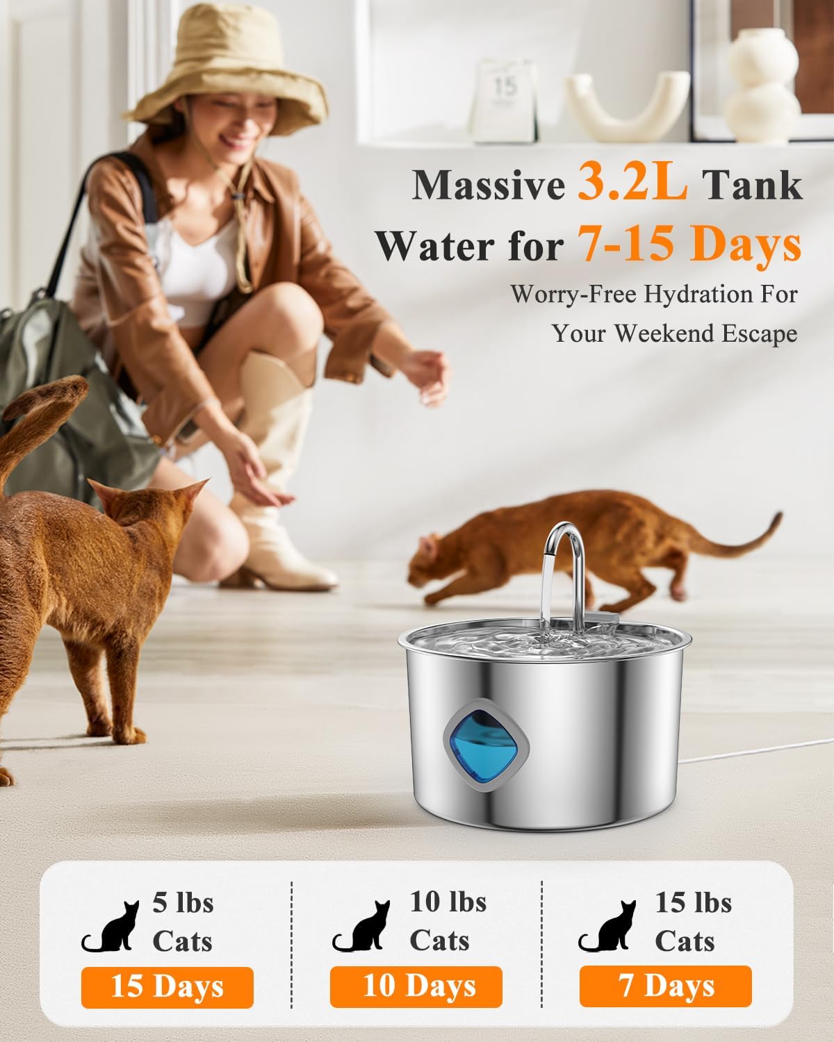Fuente de agua para gatos de acero inoxidable con kit de 12 filtros...
