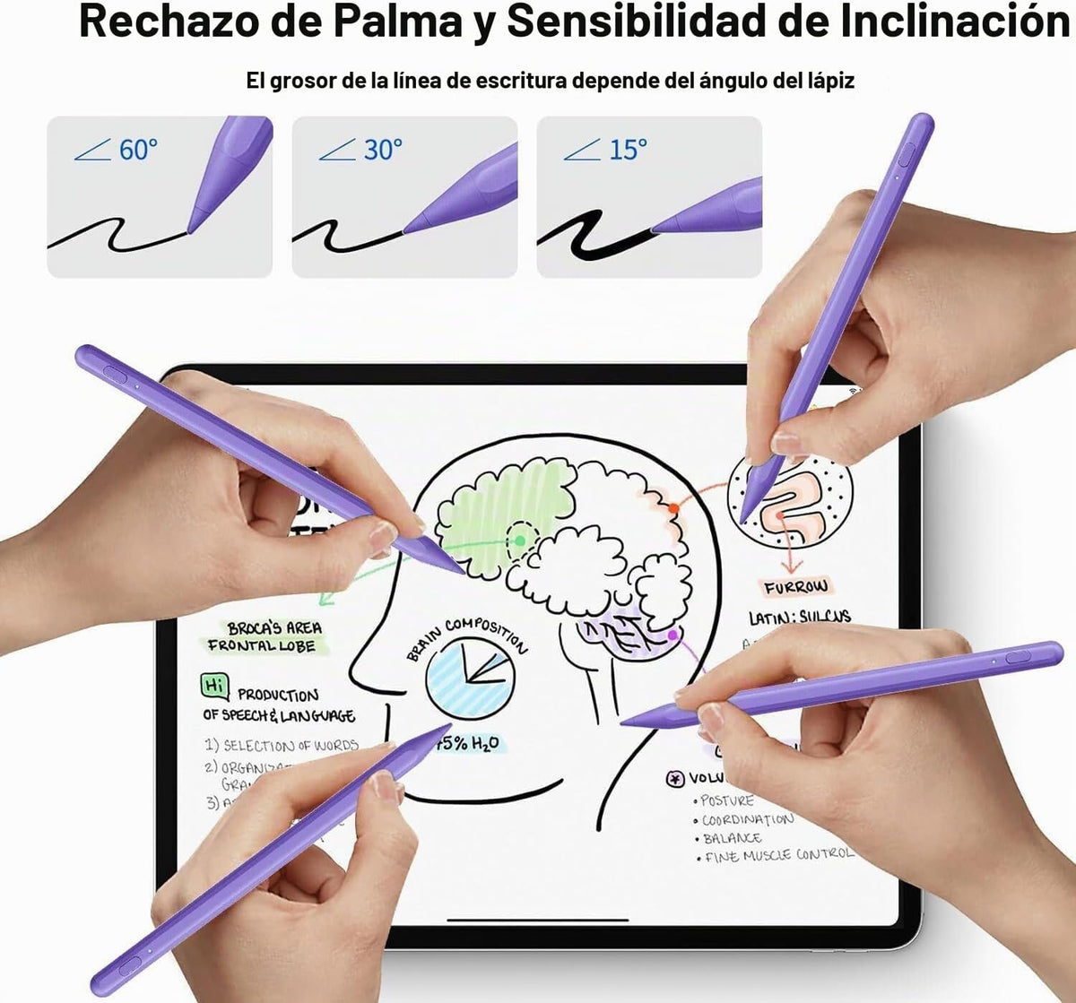 Lápiz capacitivo para iPad 11ª\/10ª 2018-2025, paquete de 2 bolígra...