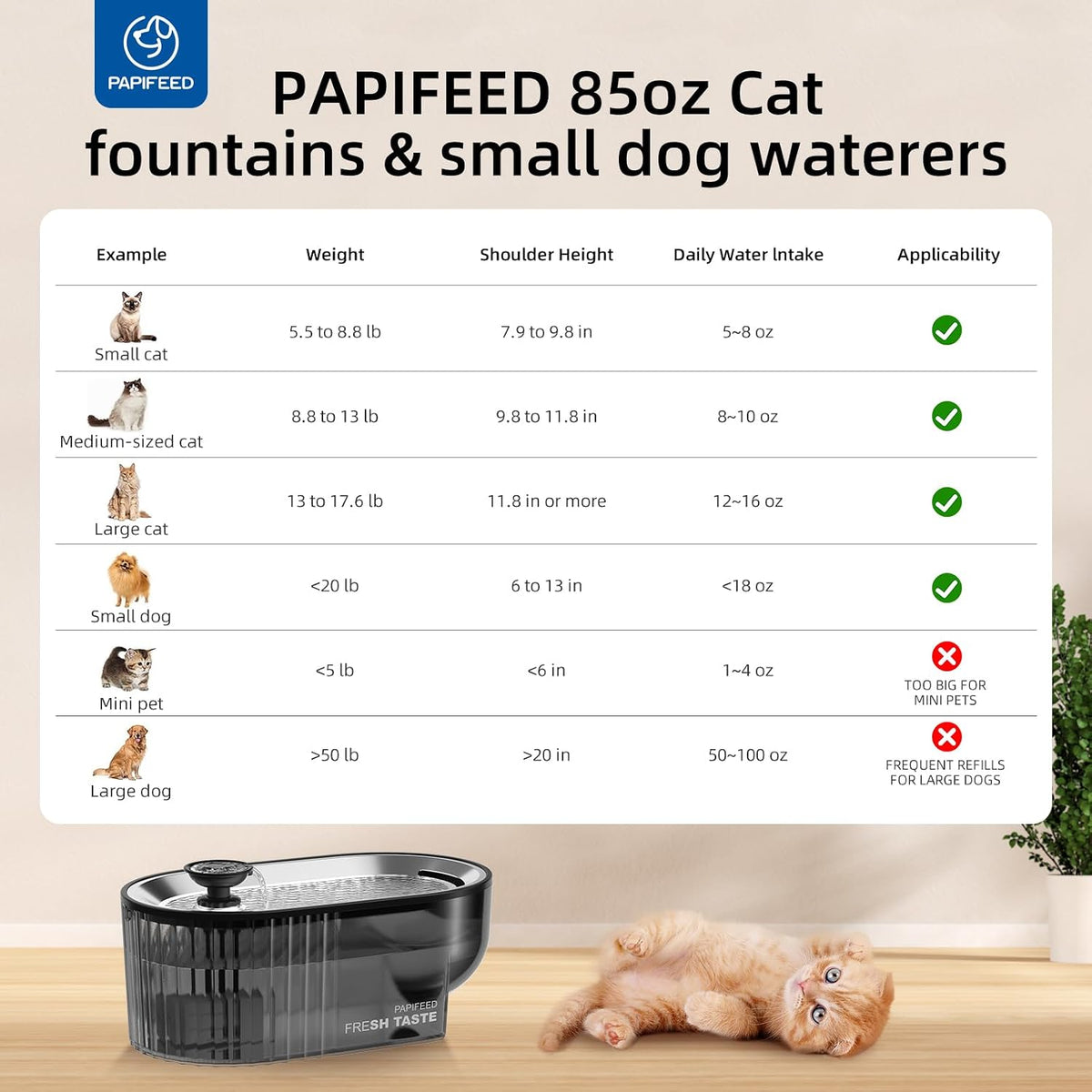 PAPIFEED Fuente de Agua para Gatos + Bandeja de Acero Inoxidable +...