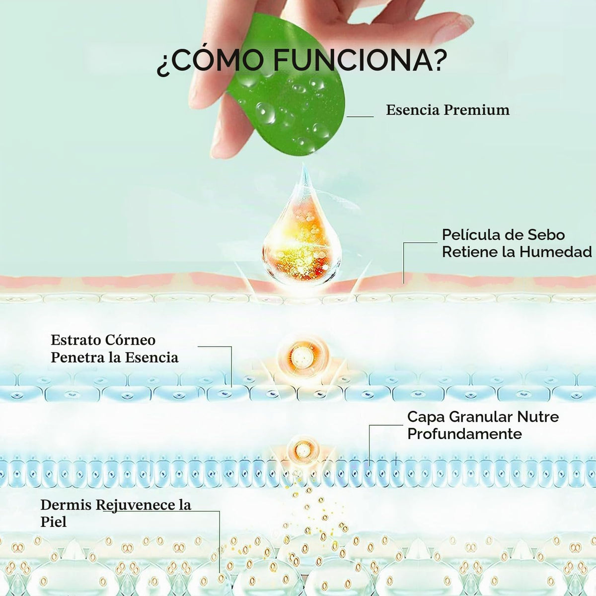 Enaskin Naturals Parches de té verde debajo de los ojos para hincha...