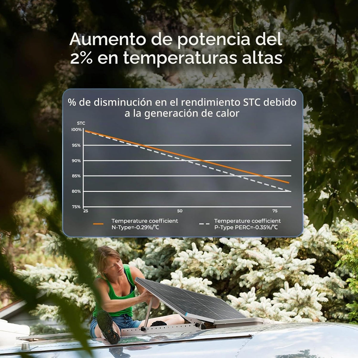 Renogy Panel Solar Bifacial de 250W Tipo N 16BB, Panel Solar de 250...