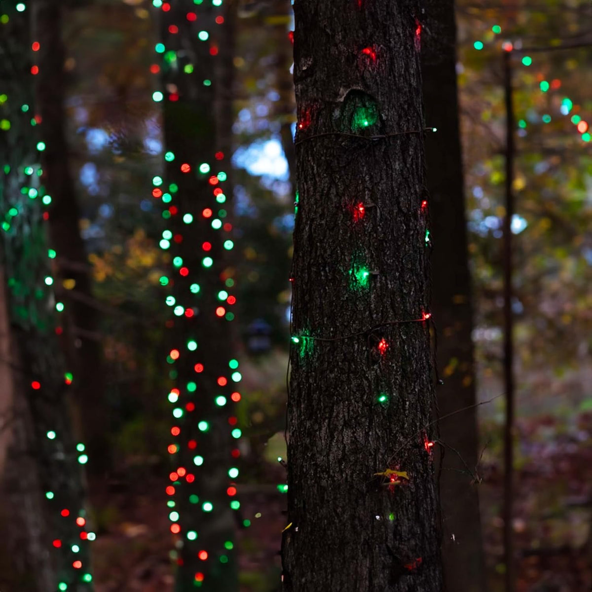 TW SHINE - Luces de Navidad rojas y verdes, 1000 luces LED de 328 p...