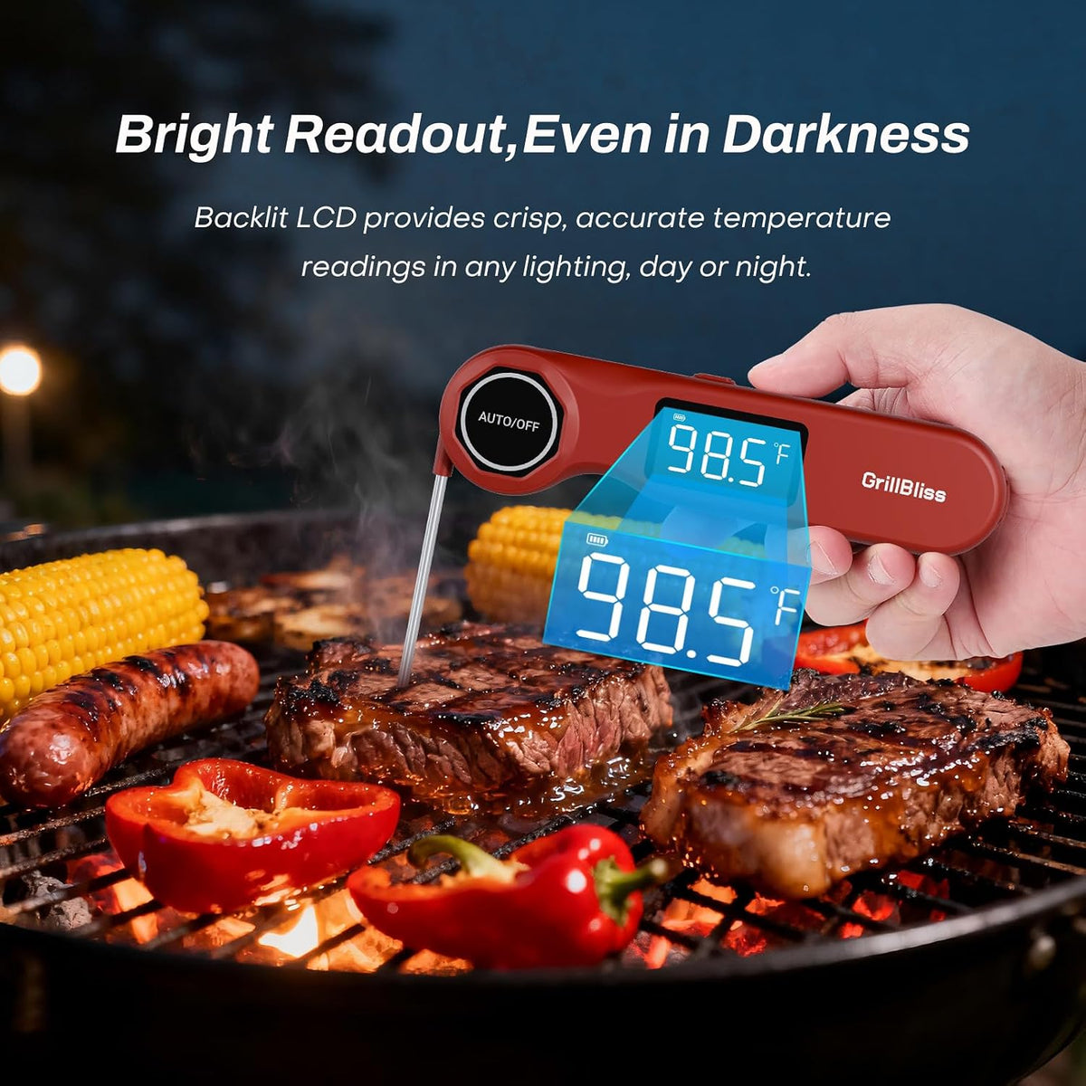 Termómetro para carne de lectura instantánea, GrillBliss USB-C, ter...