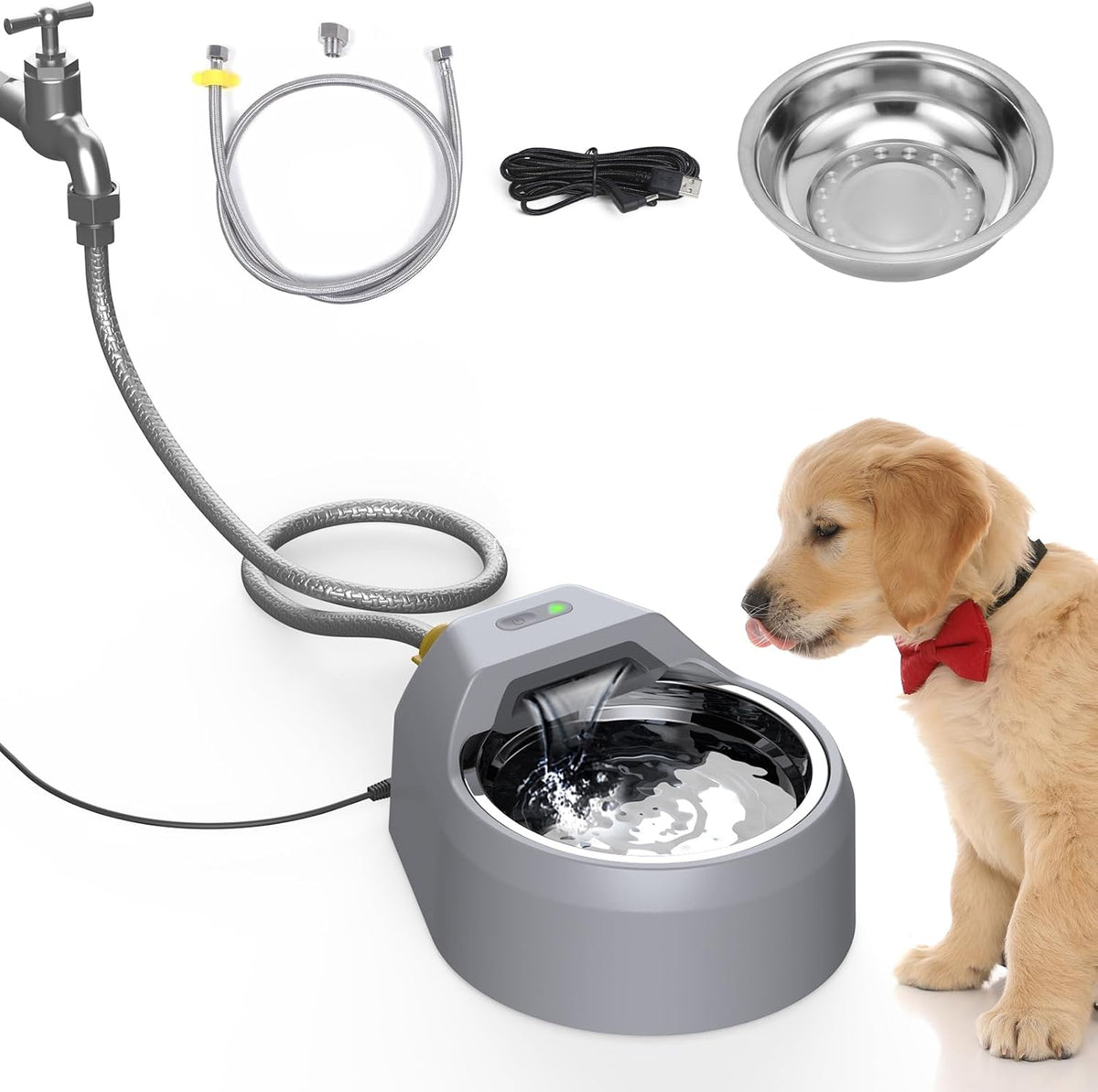 BENTOPAL Fuente de agua para perros, dispensador de agua de llenado...