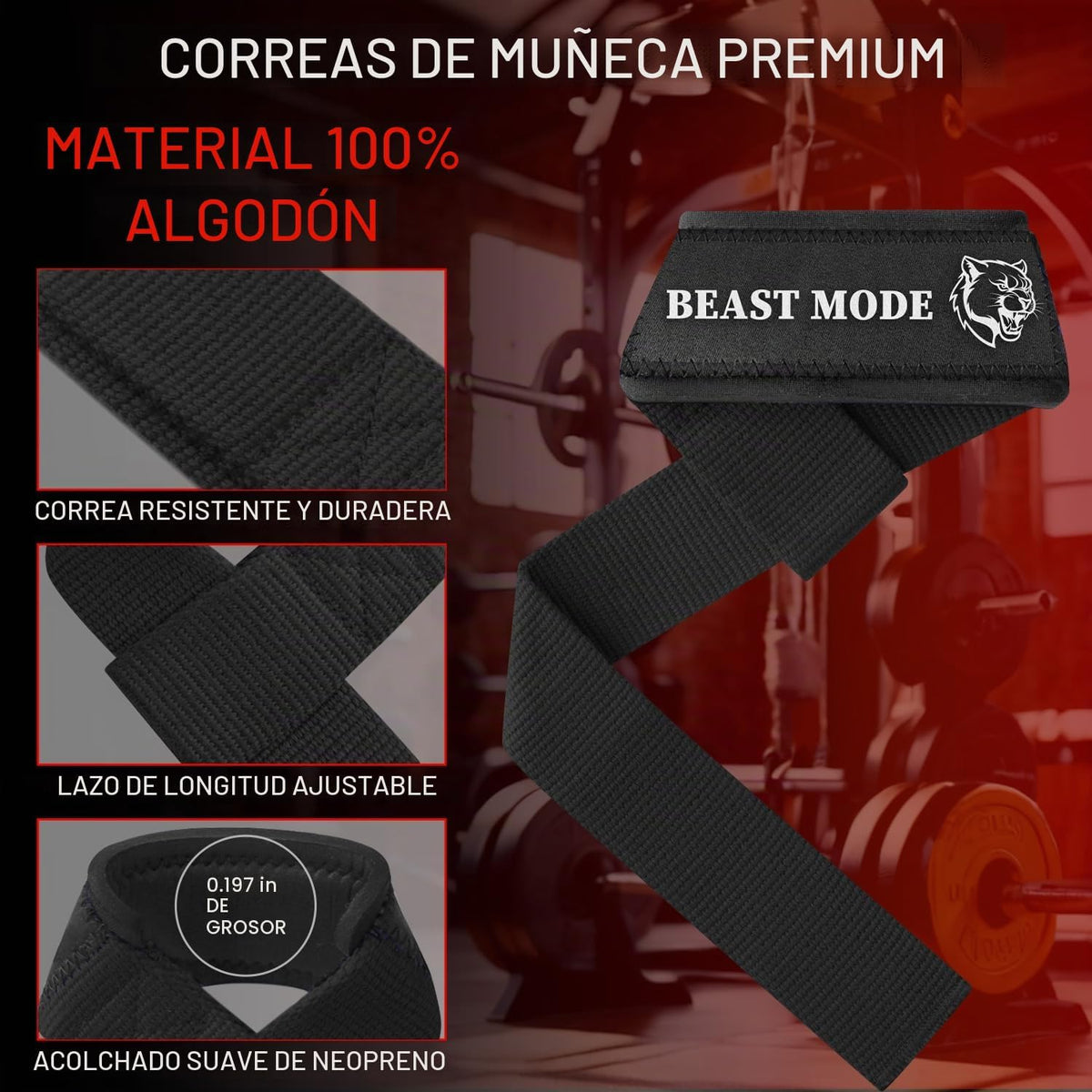 TECEUM Correas de levantamiento para levantamiento de pesas, gimnas...