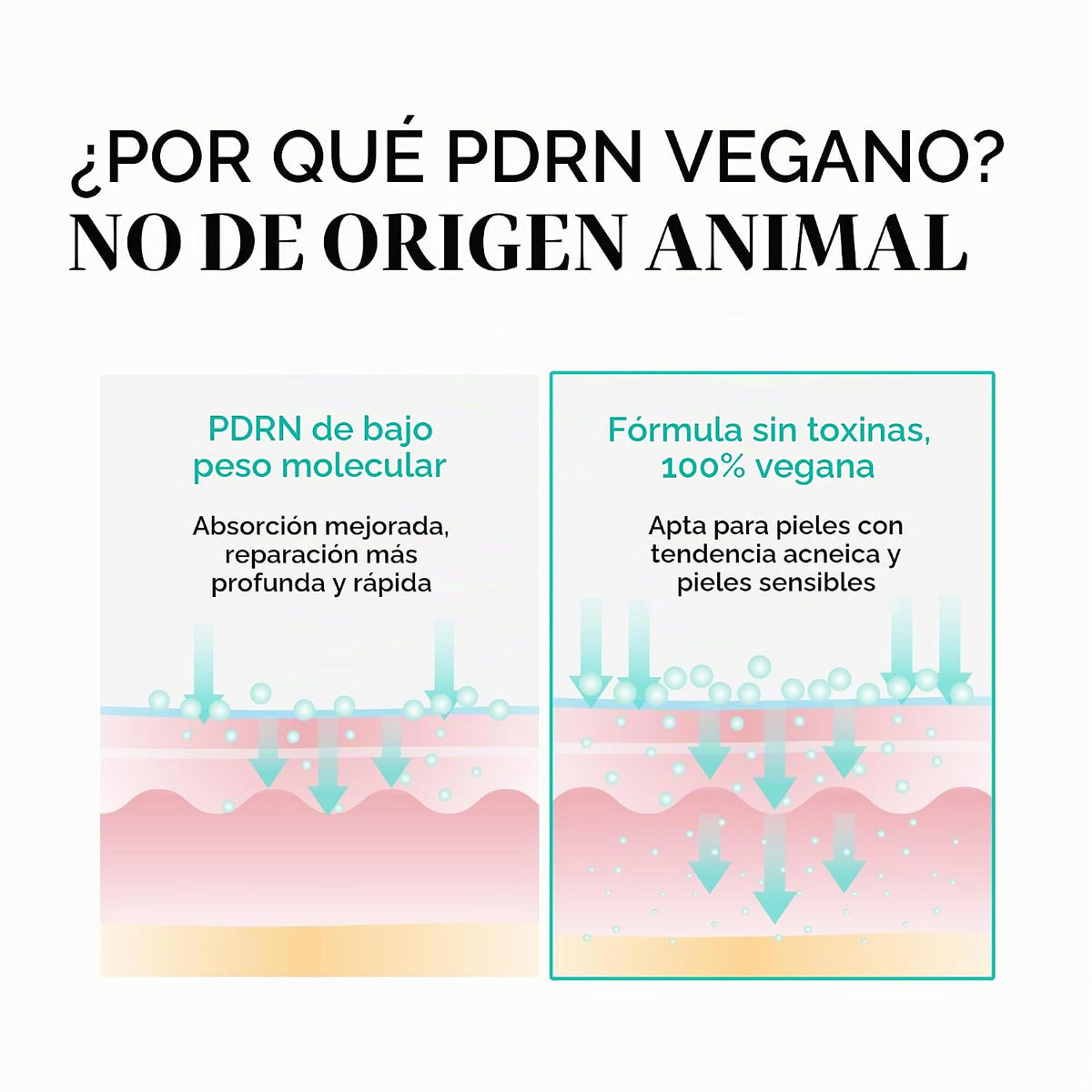VT COSMETICS PDRN Crema Cápsula 100, 1.69 fl. onz.  | Hidratante fa...