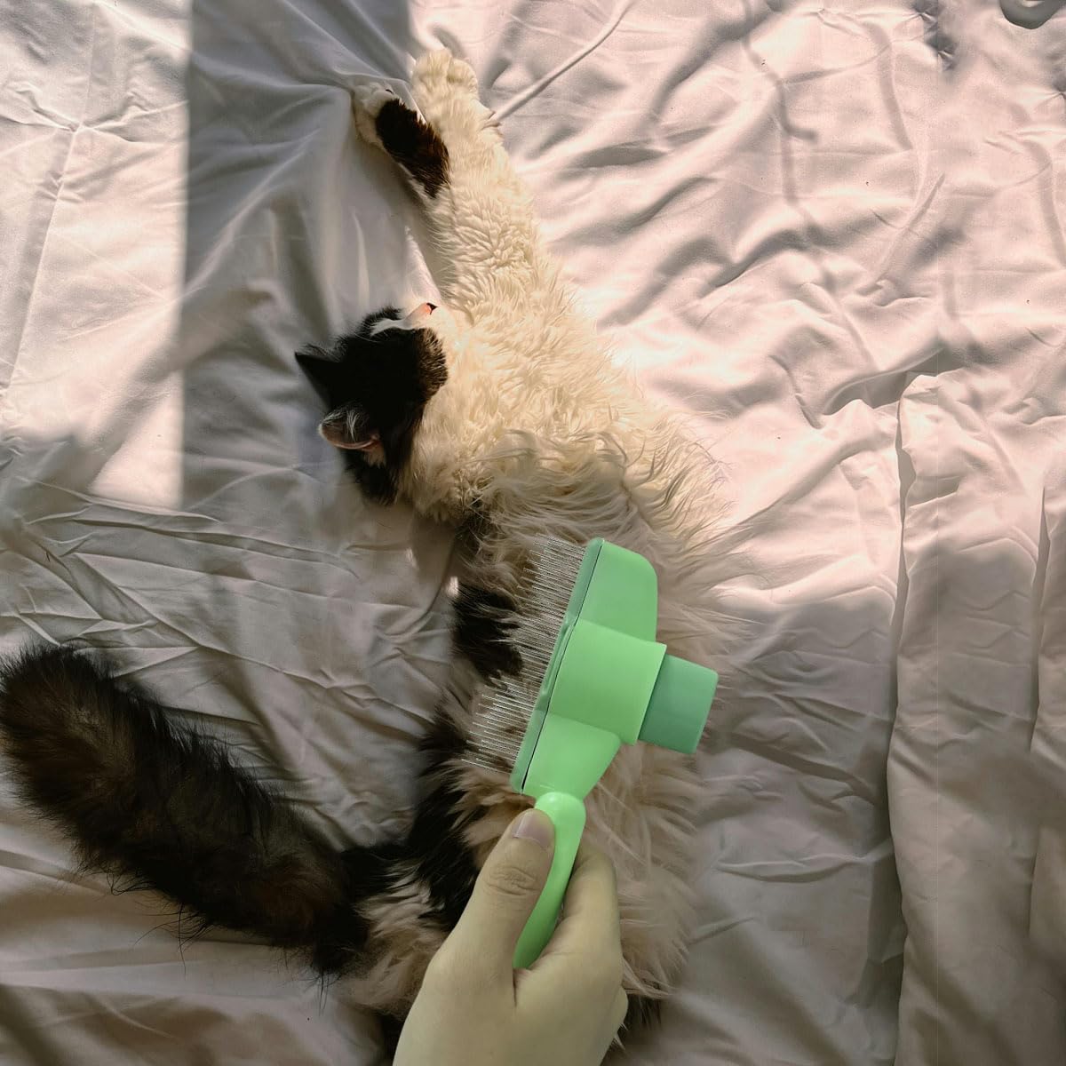 2 peines de limpieza para gatos y perros, herramienta de eliminació...