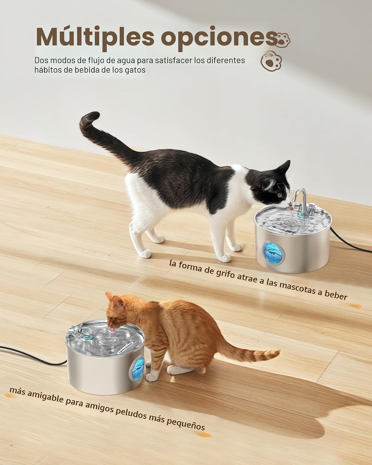 Fuente de agua para gatos de acero inoxidable: fuente para gatos de...