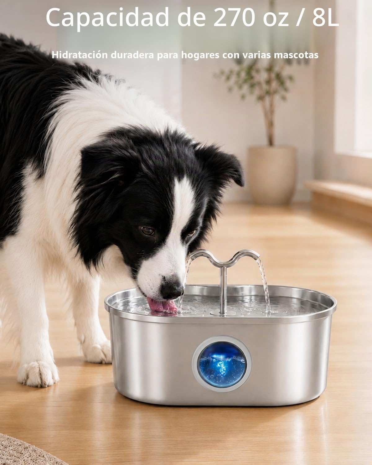 Fuente de agua para perros, fuente de agua de acero inoxidable de 2...