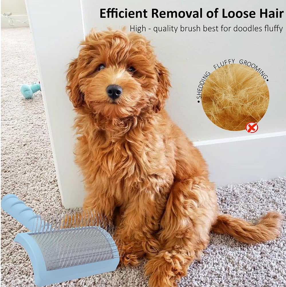 LBMBAIC Cepillo deslizante para Poodles y Goldendoodles - Cepillo c...
