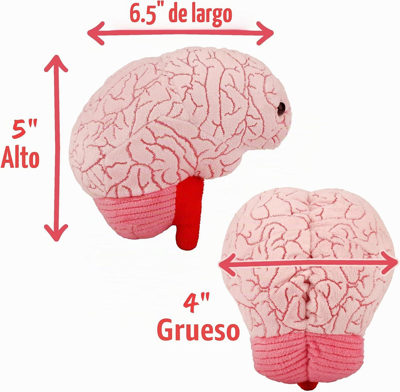 GIANT MICROBES Brain Plush, cerebro anatómico con detalles bordados...