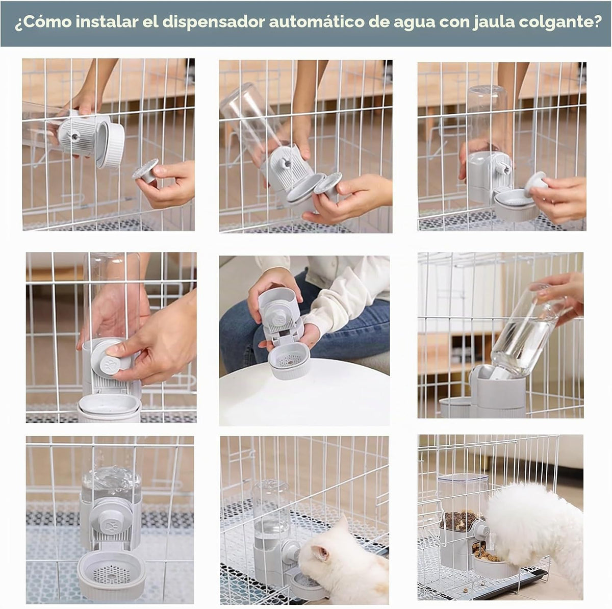 Jaula colgante auto pequeño alimentador de mascotas conjunto para c...