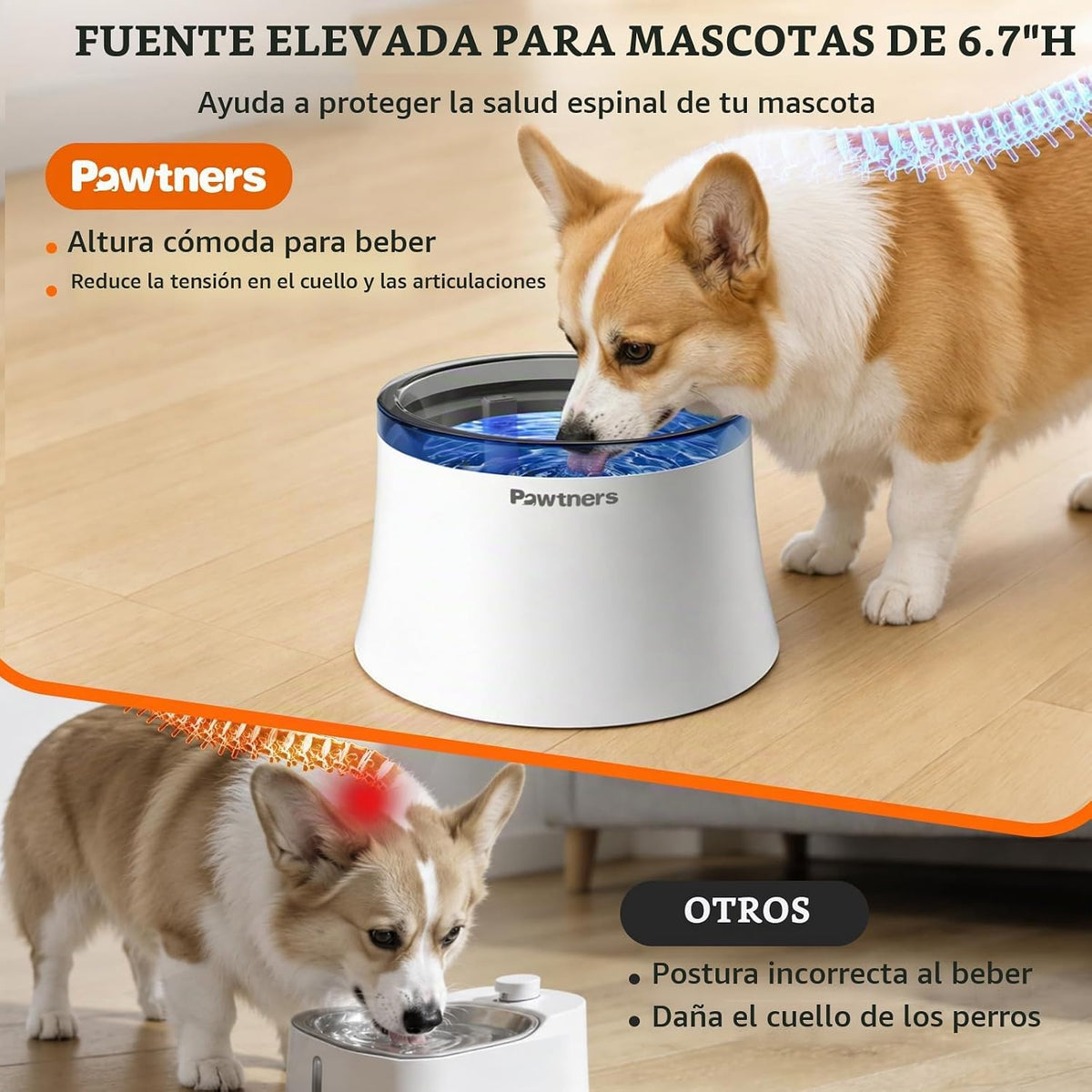 Pawtners Fuente de agua para perros, dispensador de agua para perro...