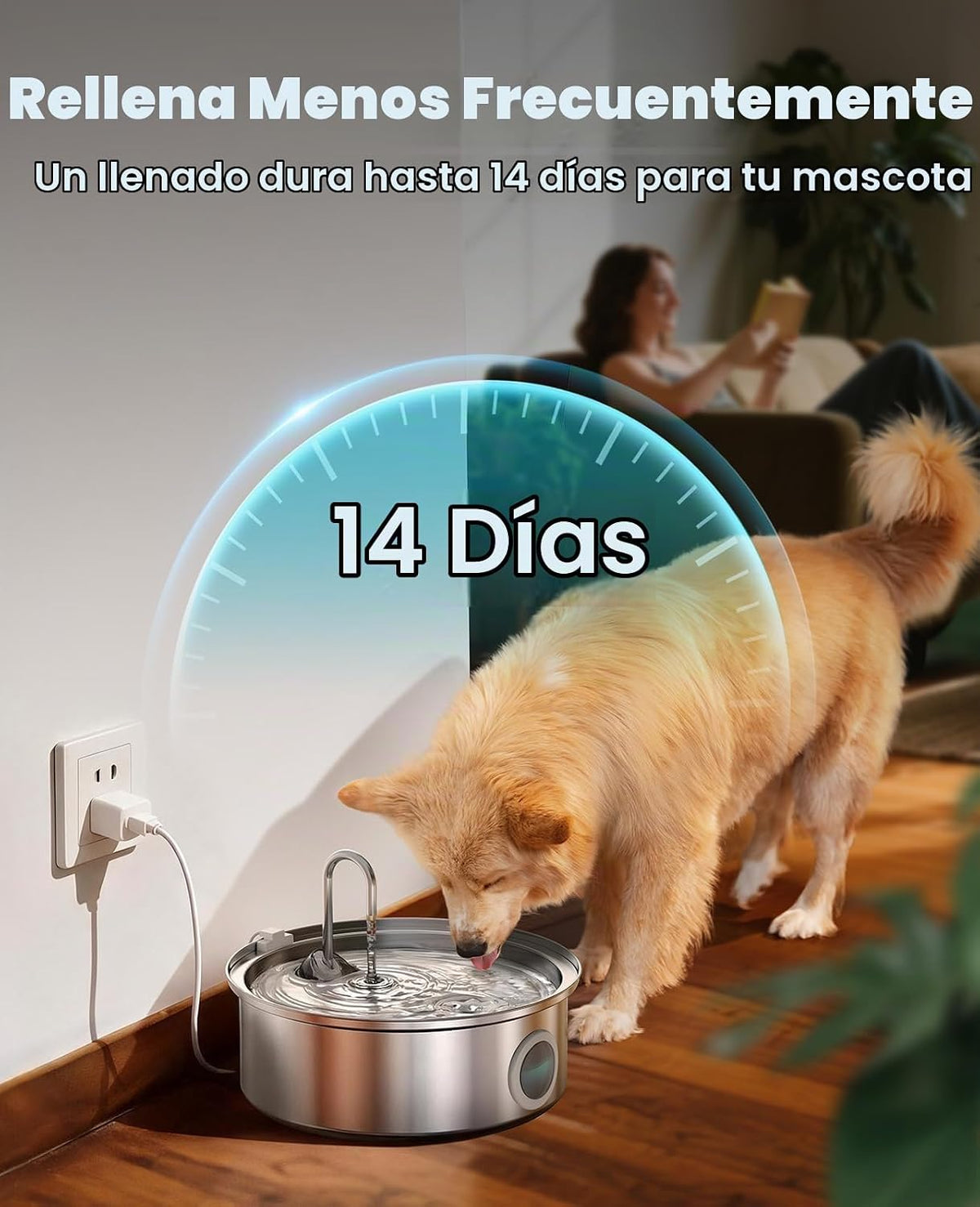 Fuente de agua para perros Oneisall PWF002 con 1 filtro | Acero ino...
