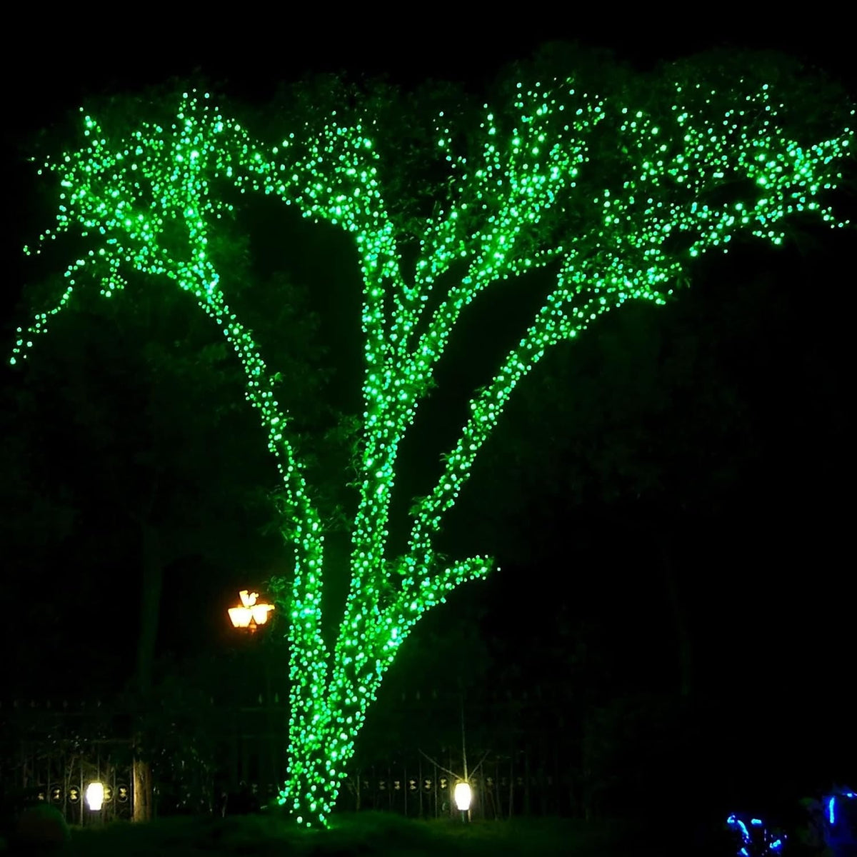 DAZZLE BRIGHT Luces de Cadena LED de Navidad de 300, Luces de Caden...
