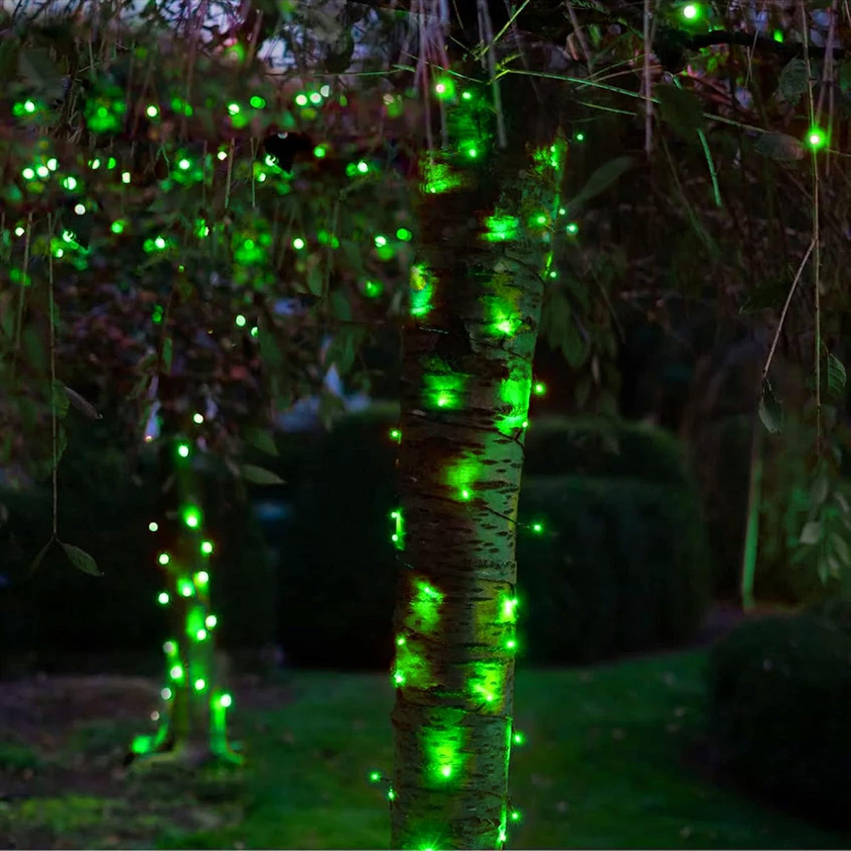 DAZZLE BRIGHT Luces de Cadena LED de Navidad de 300, Luces de Caden...