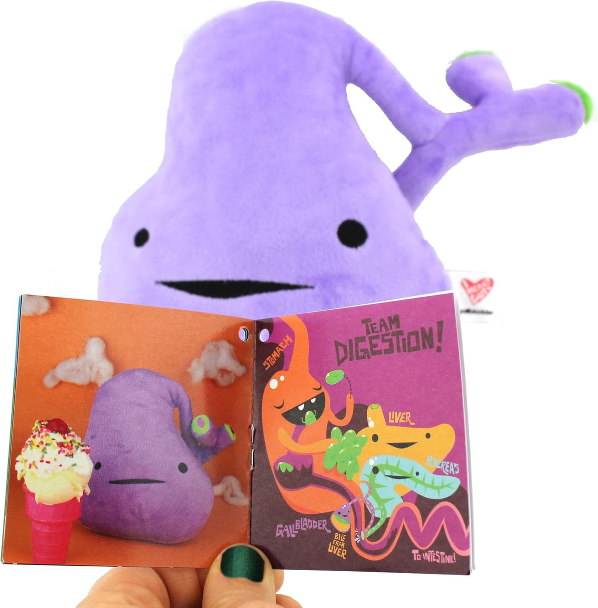 Vesícula gigante de peluche \u2013 You've Got Gall \u2013 I Hea...