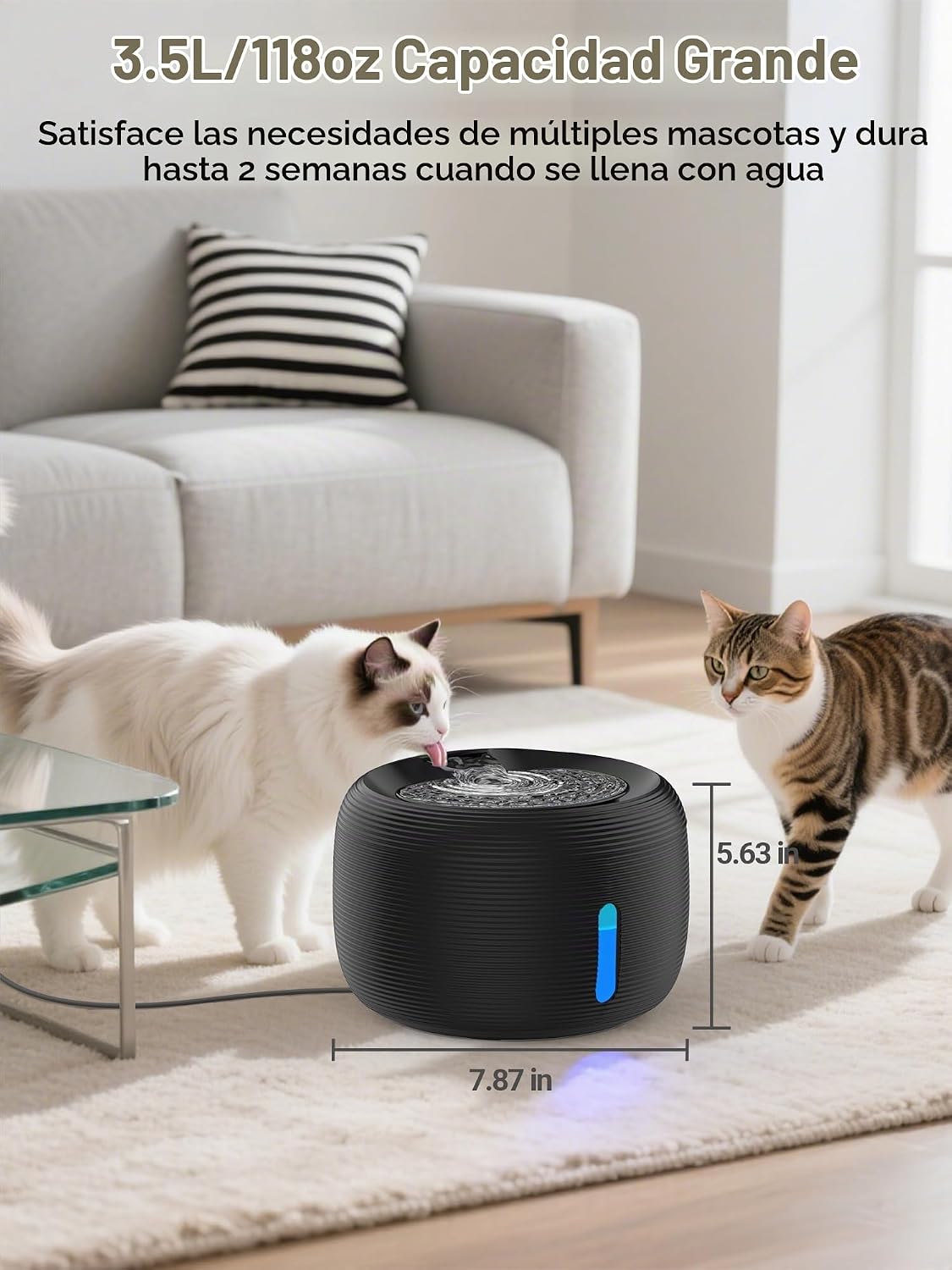 SIBAYS Fuente de agua para gatos, fuente de agua para mascotas de g...