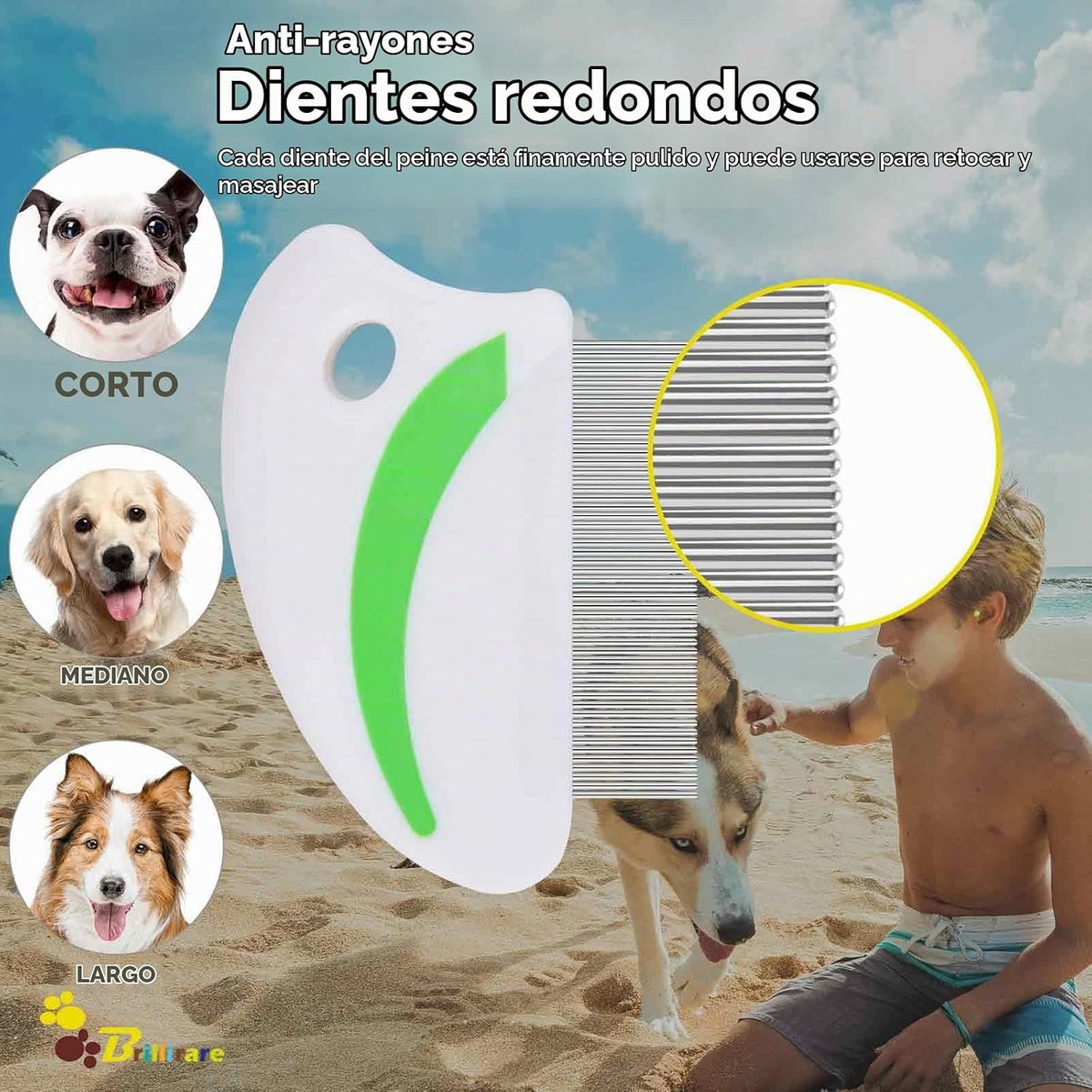 Brillirare Paquete de 2 peines para piojos de pulgas, peines de ace...