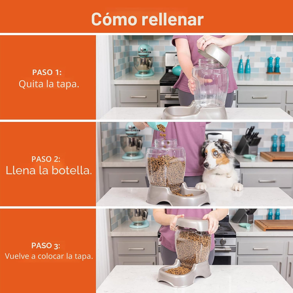 Alimentador de mascota Petmate, 3 libras | Disponible en 3 tamaños,...