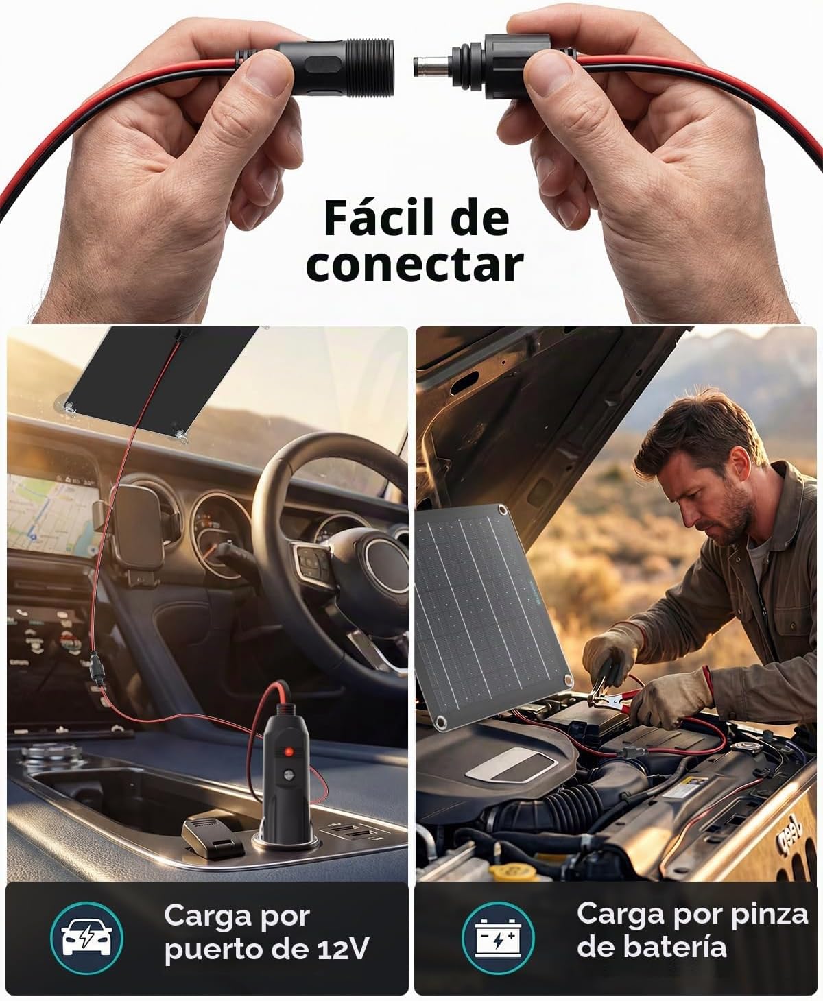 ECOBOSS Cargador de batería solar de 10 W, mantenimiento de 12 V |...