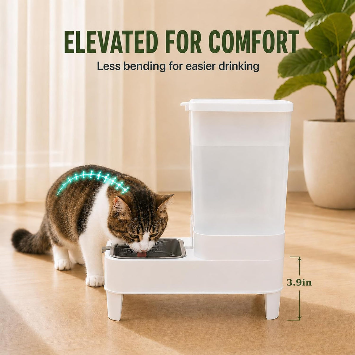 Dispensador automático del agua del gato de la gravedad elevó el re...