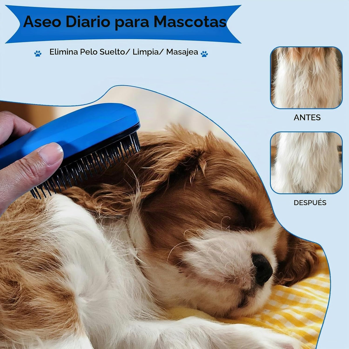 MAEELOU Kit de aseo de cepillo para cachorros de 3 piezas (azul) |...