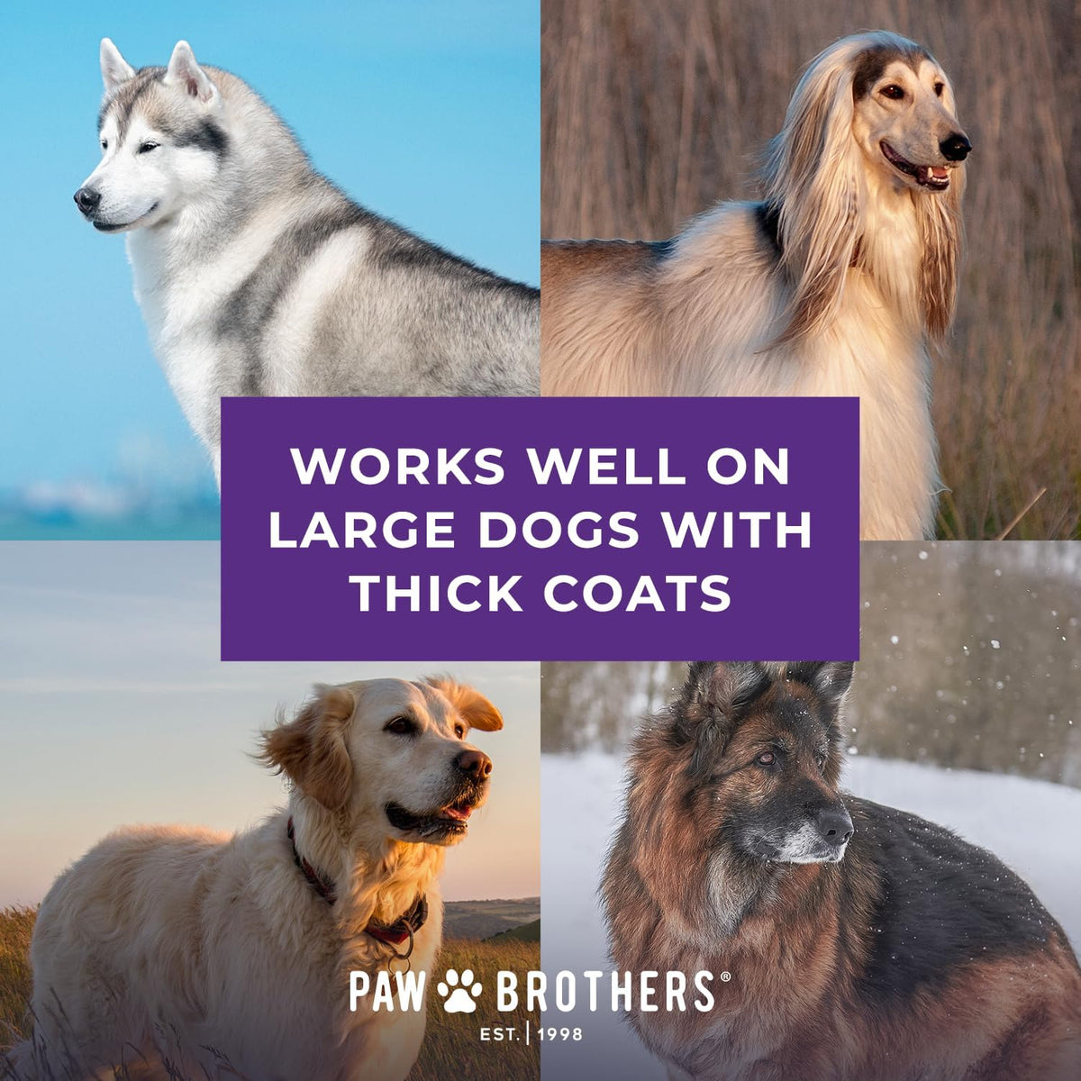 Paw Brothers Cepillo de grado profesional extra largo \u2013 Mango...