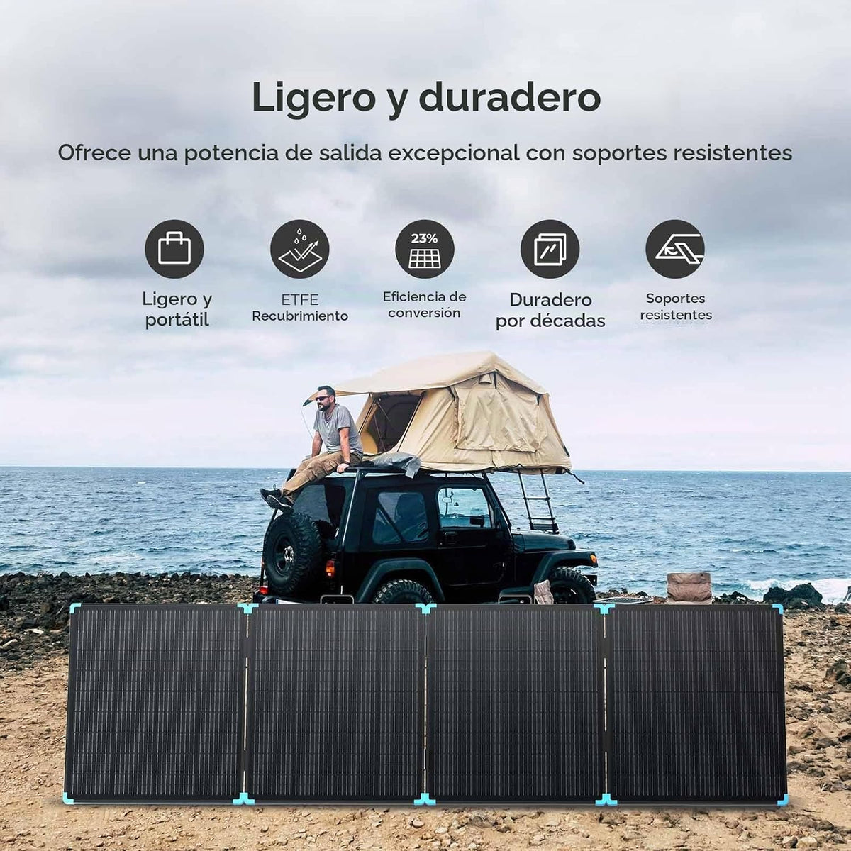 Renogy Maleta de panel solar de 800 W, paneles solares plegables po...