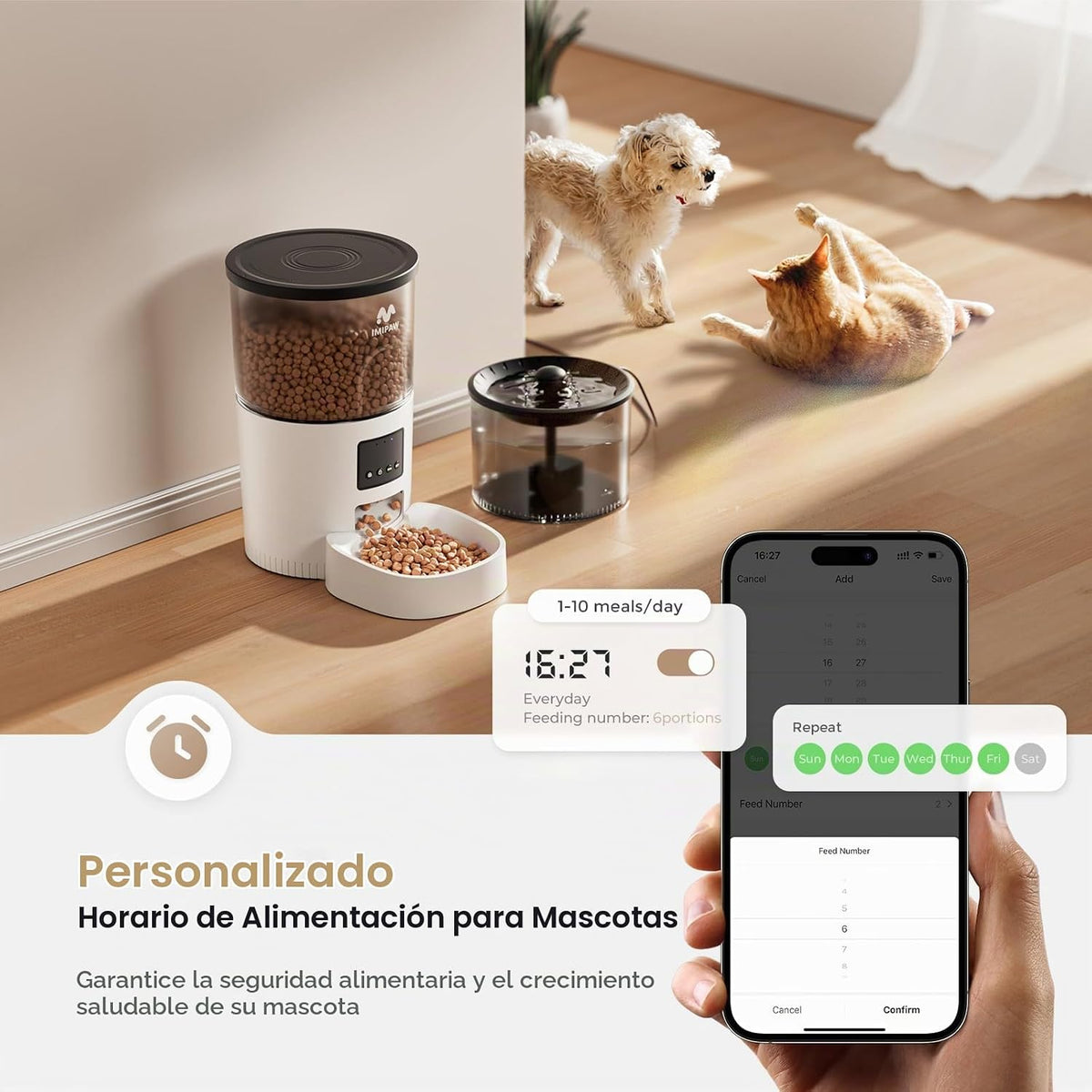 IMIPAW Alimentador Automático para Gatos 5G WiFi y Dispensador de A...
