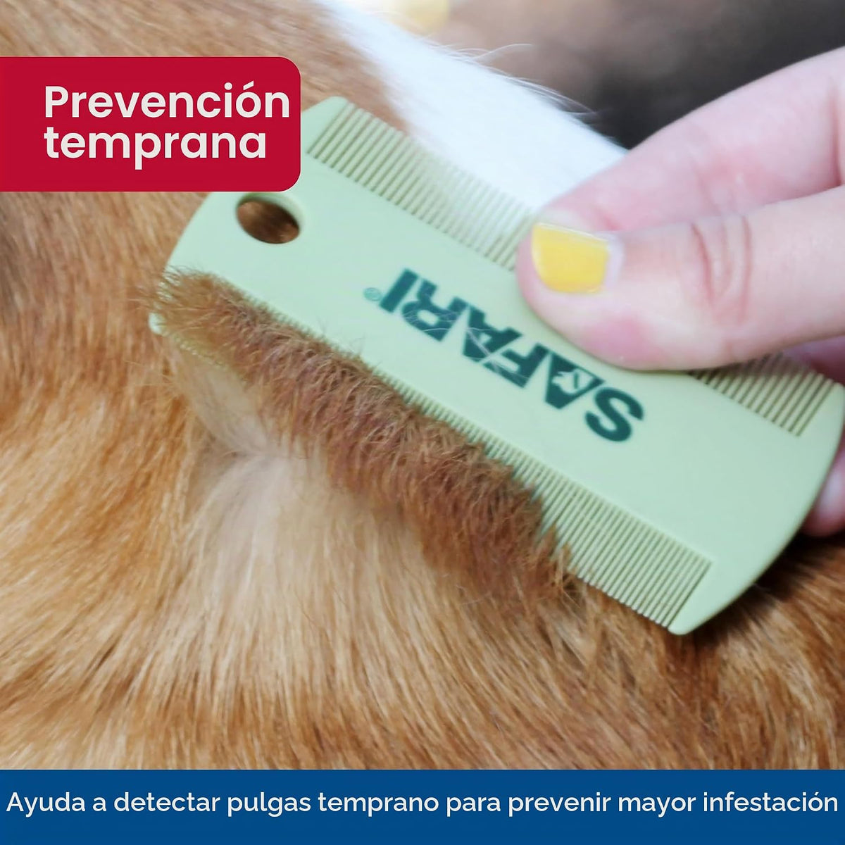 Coastal Pet Safari - Peine de aseo de doble cara \u2013 Kit de aseo...