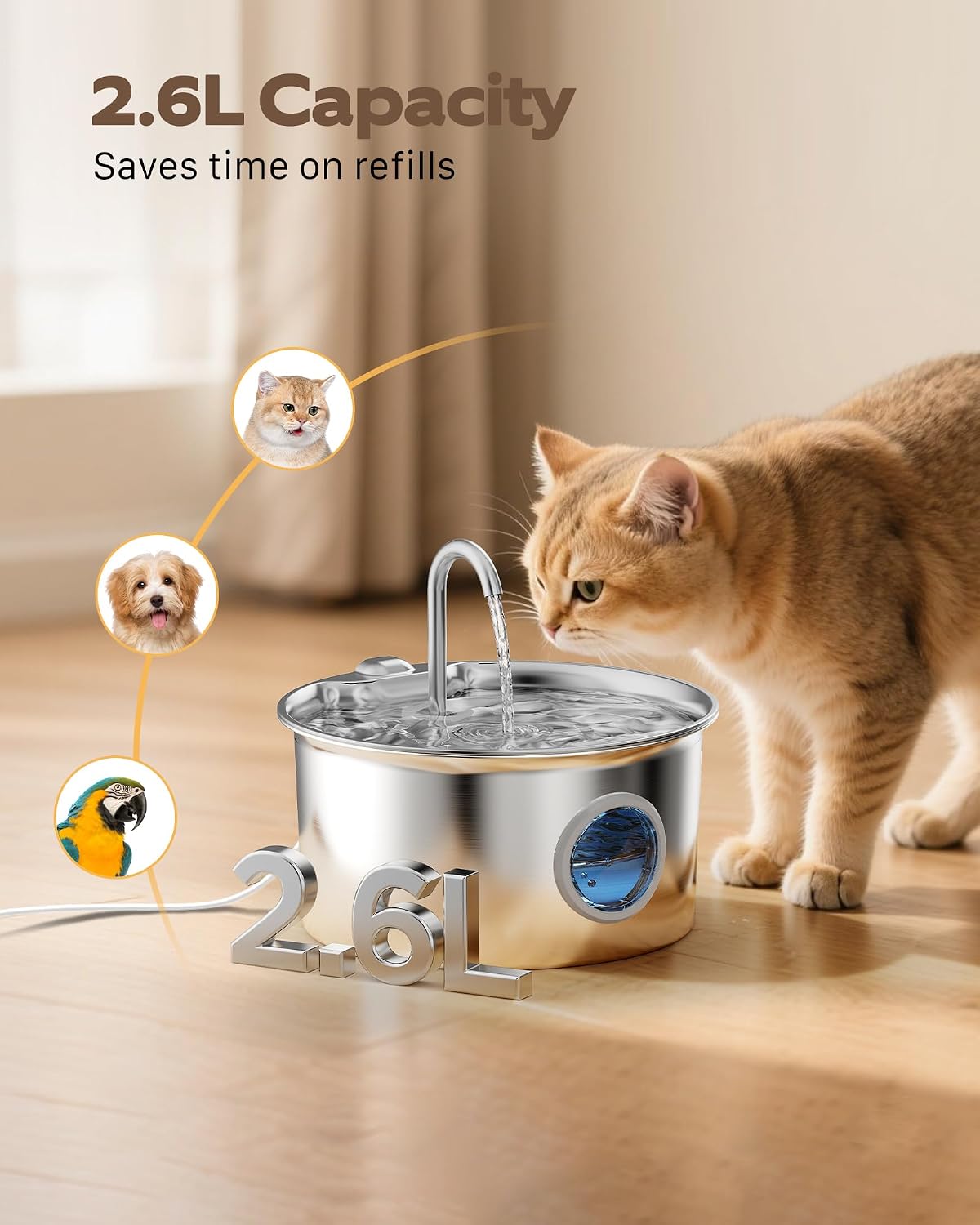 Fuente de agua para mascotas de acero inoxidable: fuentes de agua p...