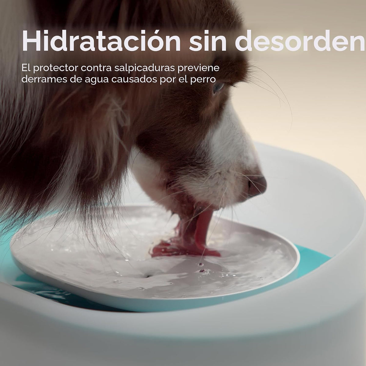 PETLIBRO Fuente de agua para perros, fuente de agua de cápsula de 2...