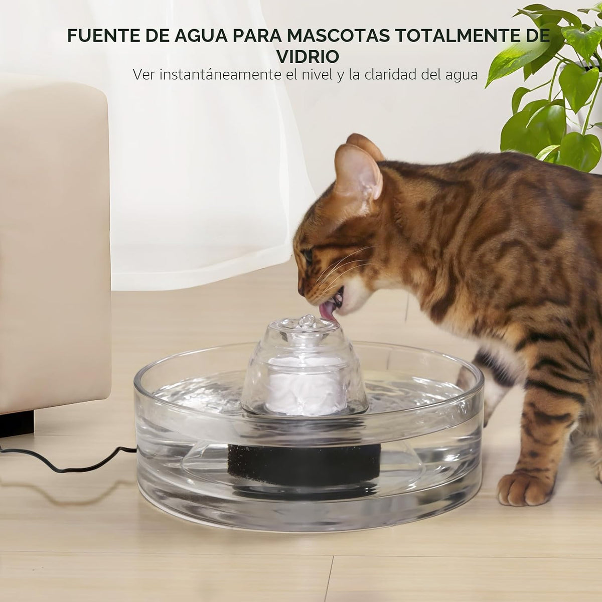 Fuente de vidrio para mascotas de 2,7 litros - Fuente de agua de vi...