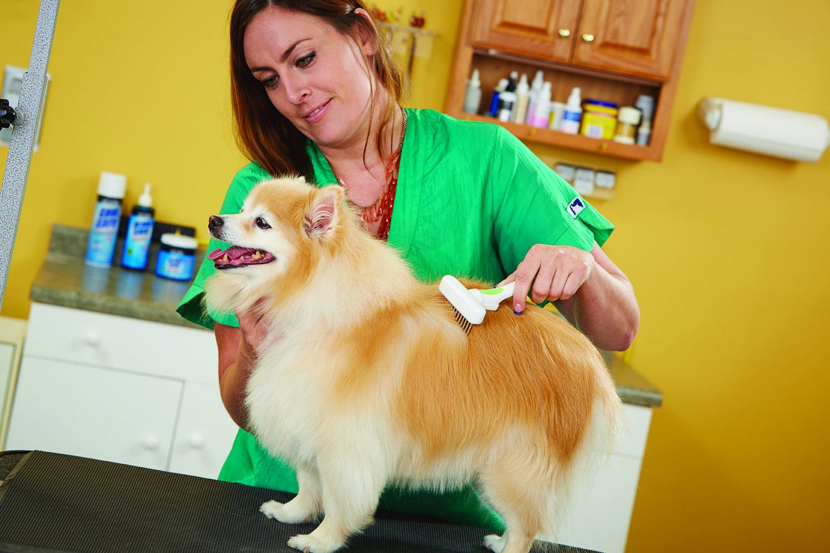 Andis 65735 Cepillo flexible para perros de una sola fila, elimina...