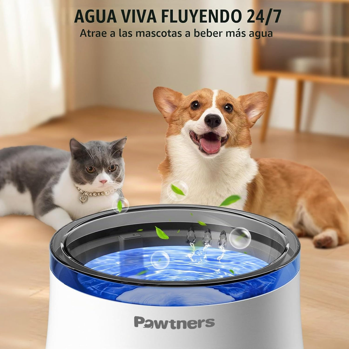 Pawtners Fuente de agua para perros, dispensador de agua para perro...