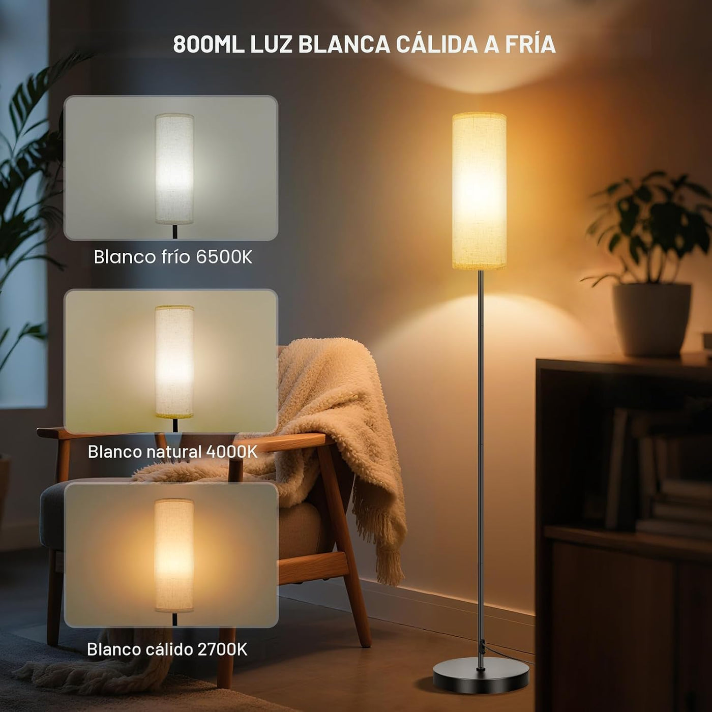 FRIDEKO HOME Lámpara de pie, iluminación ambiental que cambia de co...