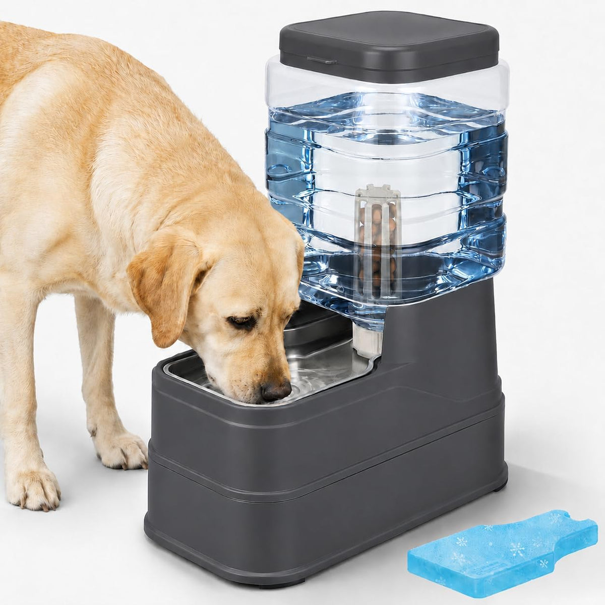 Dispensador automático de agua para perros, alimentador de agua de...