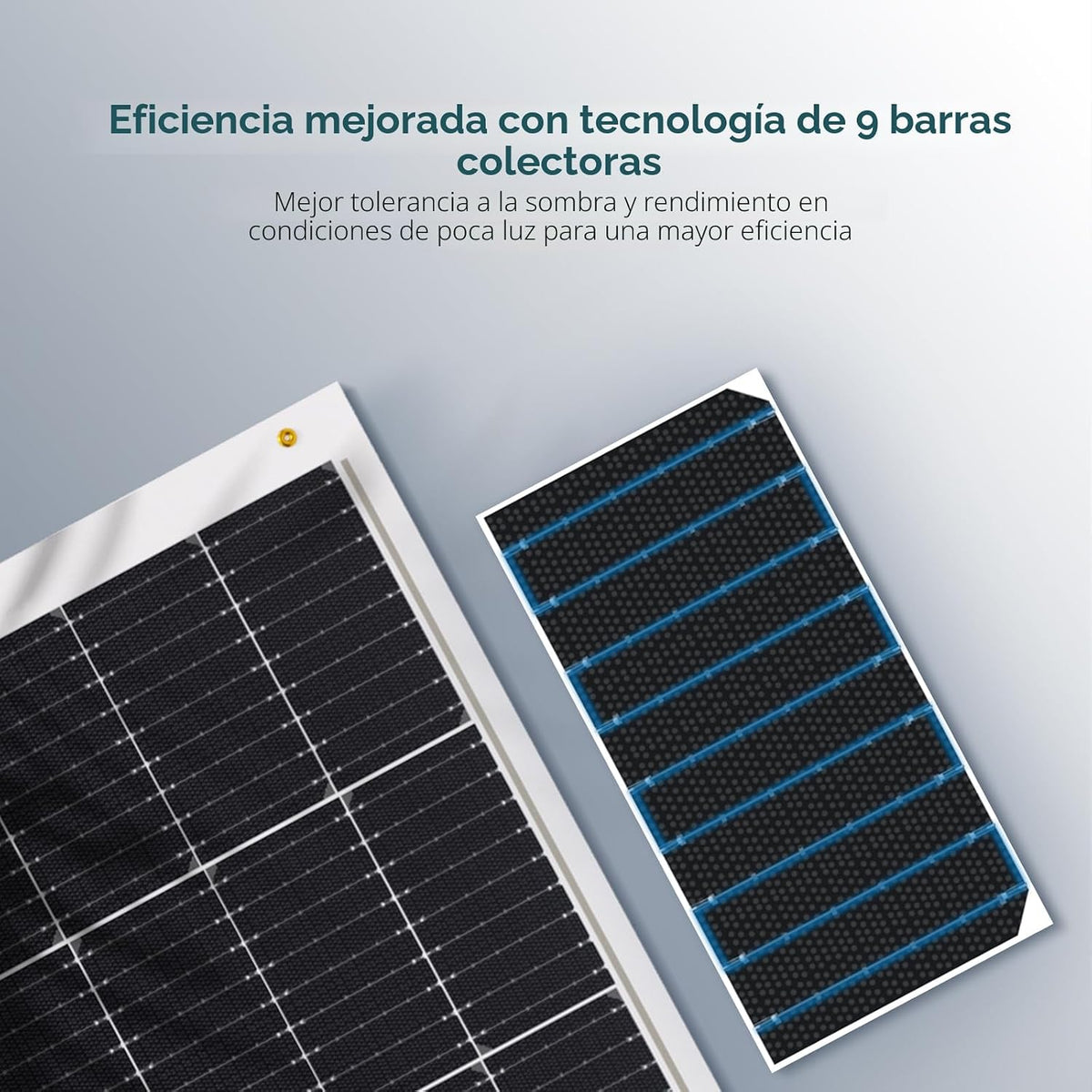 Renogy - Panel solar flexible de 100 vatios, 12 voltios, monocrista...