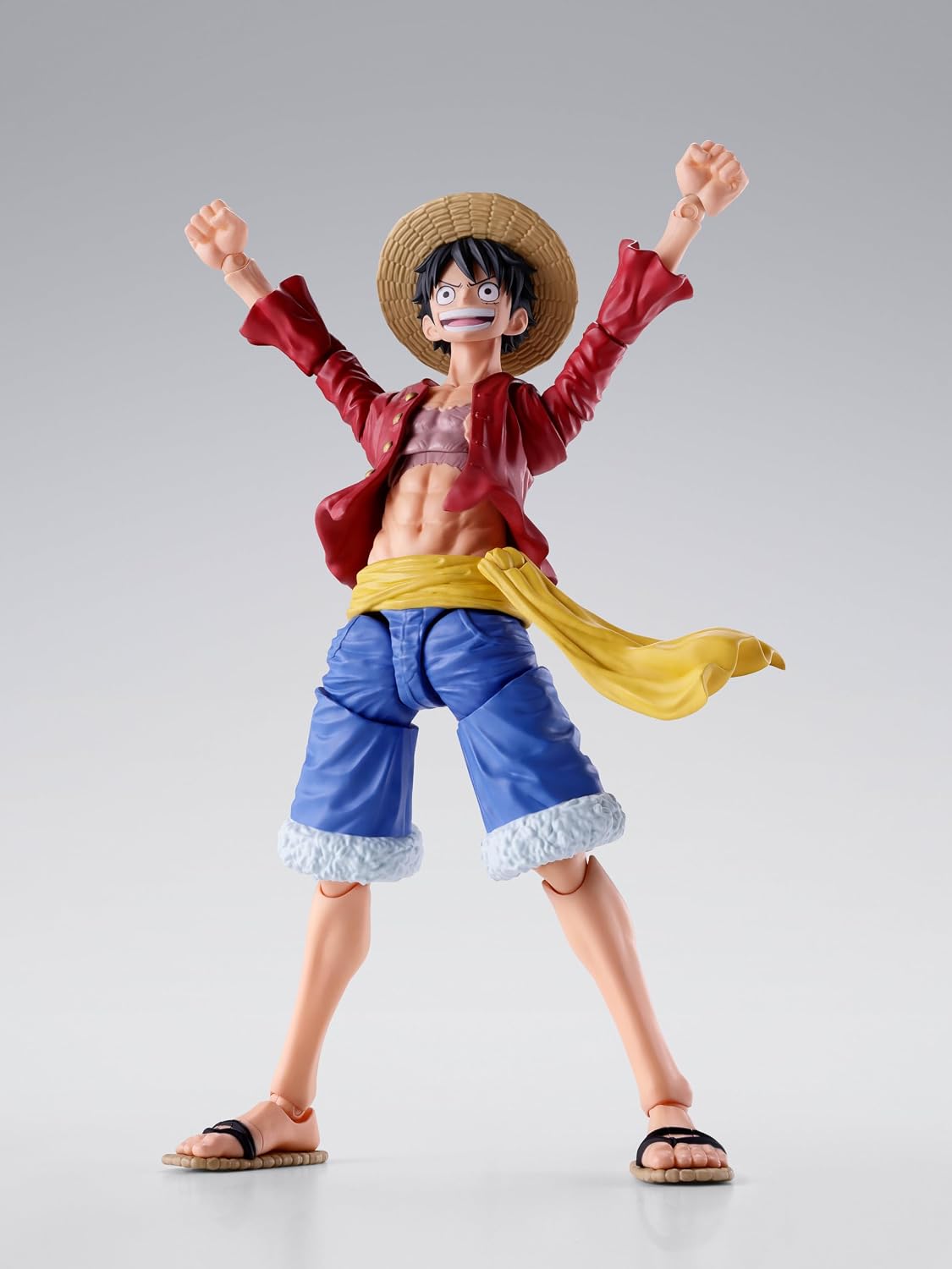 TAMASHII NATIONS - Una pieza - Monkey.D.Luffy -Dos años después- |...