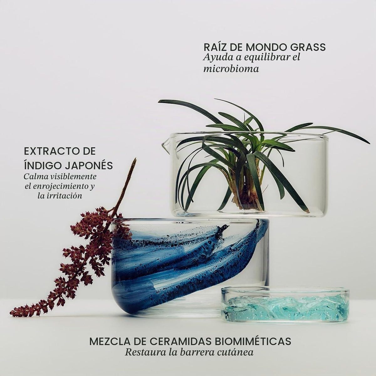 Reparación nocturna TATCHA Indigo | Tratamiento de suero, crema de...