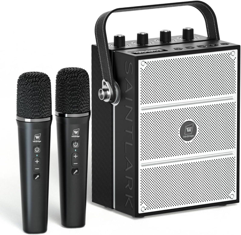 Potente Amplificador de Voz de 100W con 2 Micrófonos Inalámbricos S...