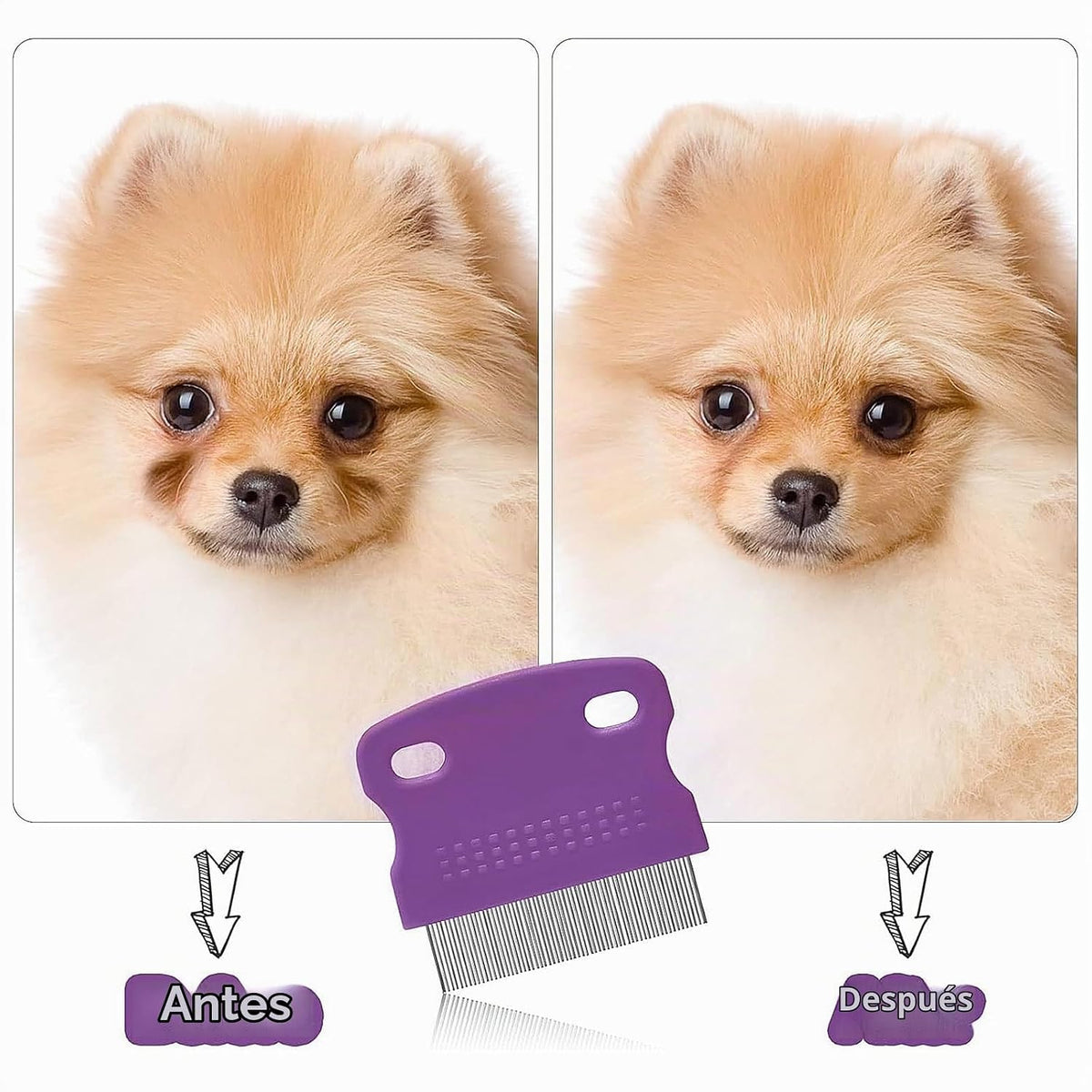 Fullhawl - 5 peines quitamanchas para ojos de perro, color morado,...