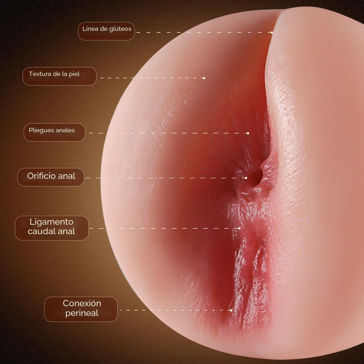 Masturbador anal masculino realista de bolsillo, vagina, trasero te...